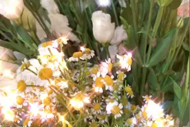 探店丨送花都有啥讲究？跟小编来枣庄这个地儿一探究竟图片