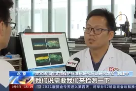 黄锈点缀蓝绿中！三星堆这件青铜残片锈蚀颜色令考古专家有了新发现图片