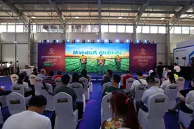 让金融更好服务乡村振兴，中国农业银行身体力行图片