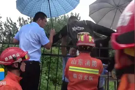看着都疼！临沂一学生因贪玩逃学翻围栏被钢筋刺透臀部图片