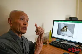 80岁老人的冰柜里，为啥藏着3万只蝴蝶？图片