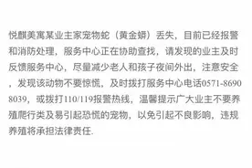 喂，110吗？我养的宠物跑不见了，3米长……图片