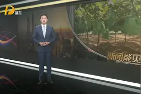 从300块一斤到10块一斤 阳光玫瑰葡萄价格暴跌的启示视频封面