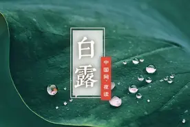 夜读 | 白露：秋风何冽冽，白露为朝霜图片
