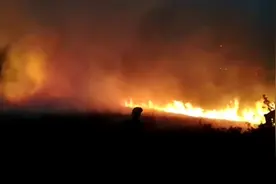 西班牙卢戈省发生两起山火 约190公顷土地被烧毁图片