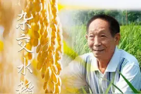 今天，重温袁隆平的话图片