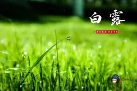 军医小茵丨今日白露图片