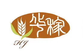 36氪首发 | 全酶解燕麦粉助推植物奶市场进一步增长，「华稼食品」获数千万元A轮融资图片