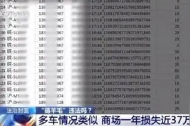 几毛钱在商场停一天车？有白领“薅羊毛”获刑图片