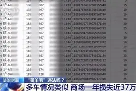 几毛钱在商场停一天车？白领“薅羊毛”被判刑图片