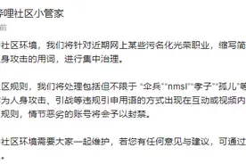B站：集中治理污名化光荣职业及人身攻击类网络用词图片