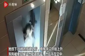 俄罗斯一狗狗在电梯外被牵引绳勒脖吊起险丧命 幸被邻居救下图片