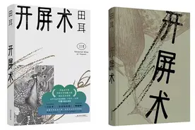 专访｜田耳《开屏术》：用虚构接近真实图片