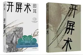 专访｜田耳《开屏术》：用虚构接近真实图片