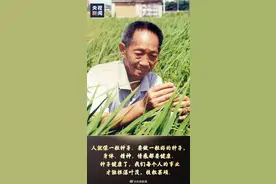 今天是袁隆平诞辰，一起回顾袁爷爷说过的话图片