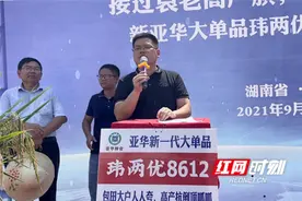 助力农户增产增收 打赢种业翻身仗：玮两优8612全国观摩会召开图片