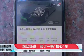 观众热线：买了一辆“糟心车”图片