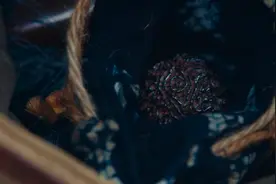 胡八一找到雮尘珠为什么还解不开诅咒 雮尘珠要怎么使用才好图片