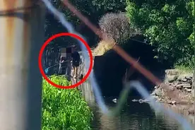“我是捕虾，又不是捕鱼！”为了吃口鲜，萧山一男子竟然往河里倒农药图片