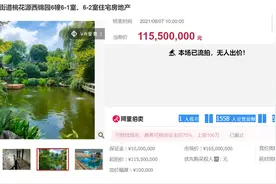 起拍价超1亿，低于市场价5000万，杭州“最贵法拍房”流拍图片