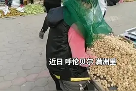 满洲里居民头套塑料袋躲避漫天飞虫，农牧局：“小咬”无害但暂难治理图片