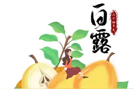 秋季菜单更新啦！这些时令食物最是美味→图片