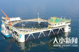 深海囤起“蓝色粮仓”！烟台海洋牧场“百箱计划”助力乡村振兴，带动传统渔业转型升级图片