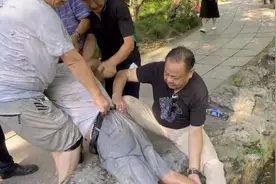 上海人民公园荷花池旁，53岁男子勇救86岁落水老人图片