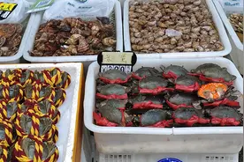 平靓正海鲜大量上市，专家解答：哪些水产品不宜吃？图片