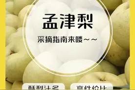 季节限定！清甜多汁！这里有一份“孟津梨”采摘指南...图片