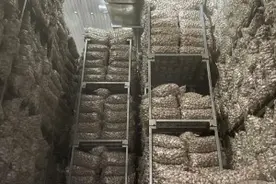 首页看点 | 冷链建设，如何加“热”图片