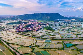 延续千年“桑基鱼塘”智慧，看佛山怎么做？图片