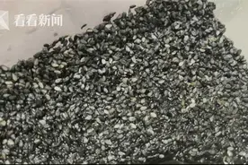 黑芝麻“洗澡”变身白芝麻，是否有假？图片