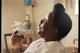 照片背后的故事图片