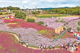 广东将打造10个大湾区无人农场 计划投资5376亿元推进农业农村现代化建设图片