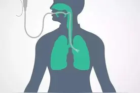胃镜除了检查胃，还能检查身体的哪些部位？图片