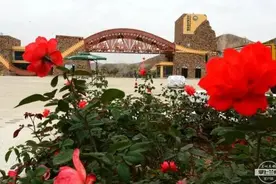 兰州野生动物园建成啥样了？记者带你提前探营图片