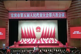 快讯｜方存好当选宜宾市人民政府市长图片