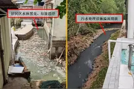 触目惊心！长江附近涌“牛奶水”、10万吨污泥埋田……图片
