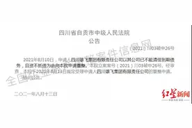 雄飞集团申请破产重整，已资不抵债，实控人曾是“优秀企业家”图片