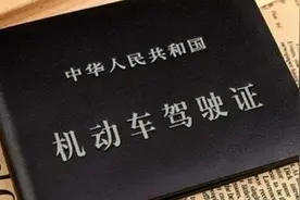 全国通用！电子驾驶证来了图片