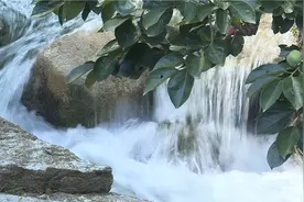 绿树掩映、潺潺流水...赏龙口雨后村庄的静谧之美图片
