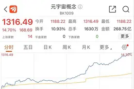 踏空“全宇宙”，无处话凄凉图片