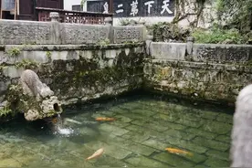 天下第二泉清池！猜猜捞出了多少硬币？图片