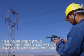 智能巡检为天山深处电网安全运行保驾护航视频封面