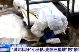 打卡三星堆“满地找牙”小分队发掘日常 文保人员化身牙科大夫图片
