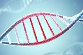 中国首个获批临床的基因编辑疗法入组首例患者 I期计划入组8例图片