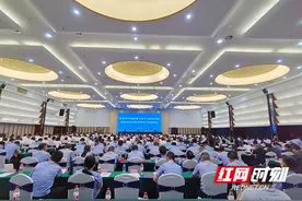 常德召开扫黑除恶专项斗争总结表彰暨常态化开展扫黑除恶斗争推进会图片