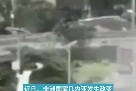 天目新闻专访中非关系专家王洪一：几内亚政变对中国铝土矿产业有短期影响图片