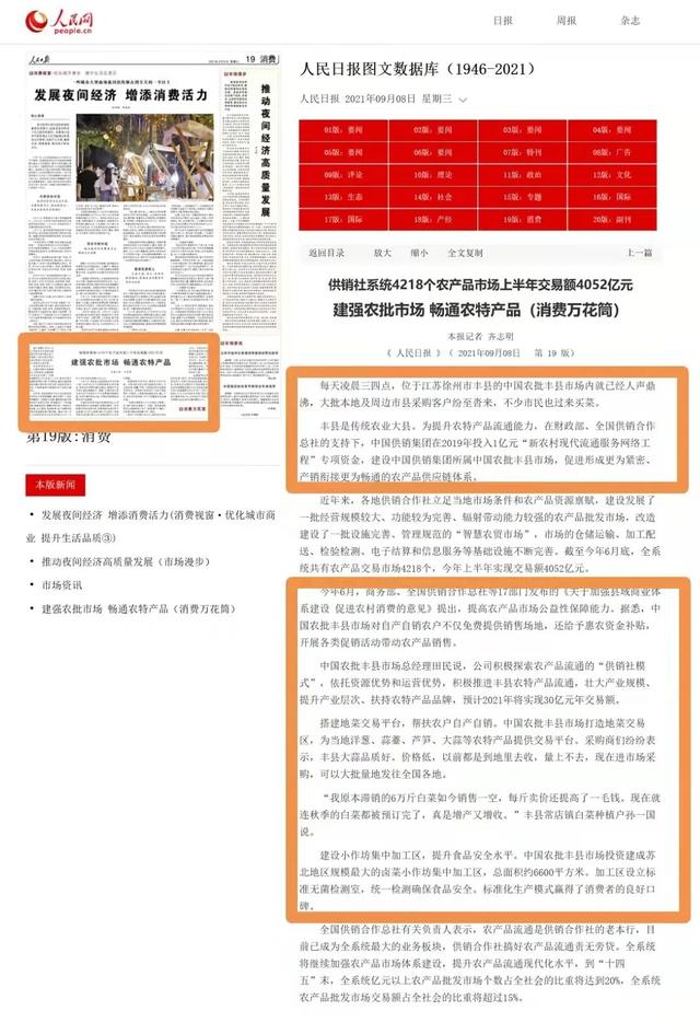 新网工程项目三年发展规划